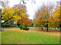 Autumn colour at The Leadership Trust