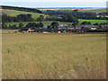 Grassland, Upavon