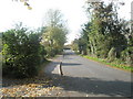 Looking westwards along Horsemere Green Lane