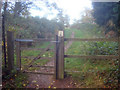 Public footpath in Newstead Priory Wood - 1