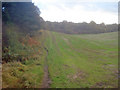 Footpath by Haggnook Wood