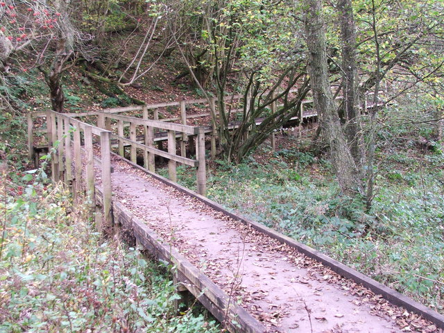 Wooden walkway at Staindale Lake, Dalby Forest