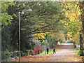 TQ2274 : Autumn colours on Putney Park Lane by Stephen Craven