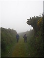 Farm track at Trenowin