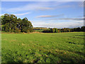 Farmland at Easter Langlee, Galashiels