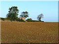 World War II pillbox