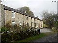 Terrace by the Sedling Burn, Cowshill