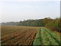 Permissive Bridleway, Bevern Farm