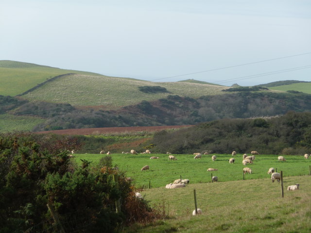 South Hams farmland