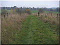 Bridleway to Spelsbury