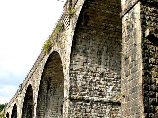 Tavistock, Railway Viaduct