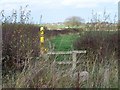 Footpath To Sibson