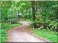 Track in the grounds of Monreith House