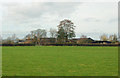 Looking east across pasture towards Gibraltar Farm