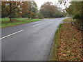 Looking NE on Plaistow Road