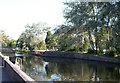 Tranquility in the city centre - the Newry Canal at Buttercrane Quay