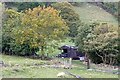 Pasture near Rowen