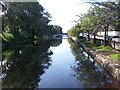 View south along the Newry Canal from the Ballybot Bridge