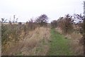 TQ7175 : Footpath in Higham Marshes by David Anstiss