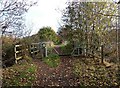 Leapgate Country Park crossing Timber Lane