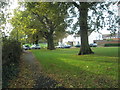 Autumn in Bentworth Close