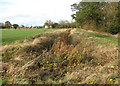 Ditch beside footpath