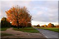 Baldon Lane in Marsh Baldon