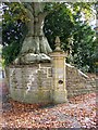 Tree, Bradford Abbas