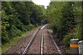 SU0589 : The line runs through woods by Bury Hill by Steve Daniels