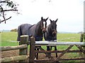 Keeping an eye on the footpath