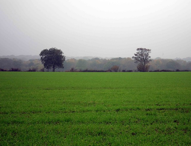 Across The Fields © Roger Geach Geograph Britain And Ireland