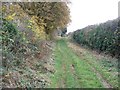 Footpath, looking east