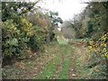 Footpath looking west