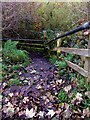 Steps from Leapgate Country Park to Timber Lane