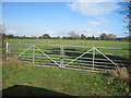 Gate into field at Millgate Farm