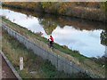 Towpath Cyclist, Parkgate, Rotherham