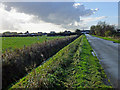 Marsh Lane, Barrow Haven