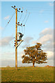 Transformer in a field east of the Fosse Way, Eathorpe