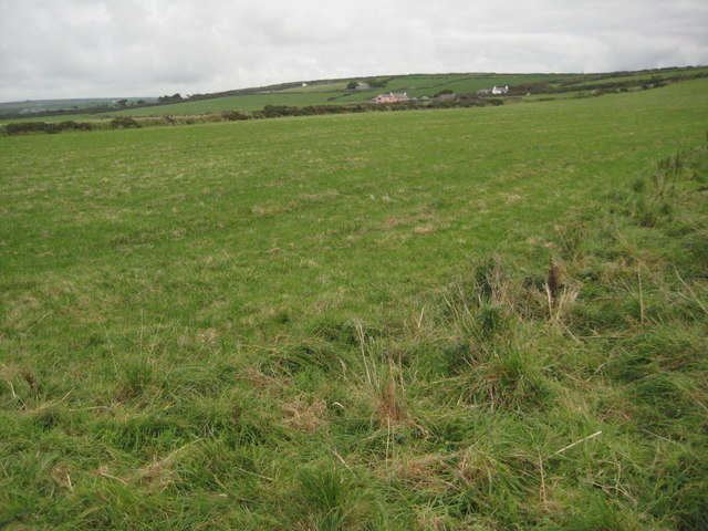 Farmland above Tregardock Cliff