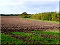 Ploughed Field Ashfield