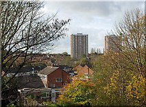 SO9488 : Swan Street Flats, Netherton by Brian Clift