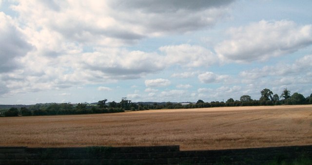 Cropland west of the N1