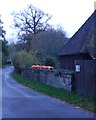 Pumpkins on a wall outside Rushlye Barn