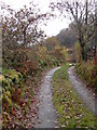 Farm track to the south of Dolwyddelan