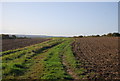 Path of a grubbed up hedge