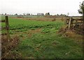 Beet field, Sugarswell