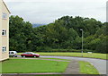 Oliphant Circle on the edge of undeveloped land