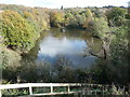 Breaches Pool viewed from the Lapal Canal towpath