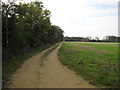 Footpath to Newbridge