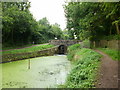 Canal bridge next to Ty-ffynnon lock